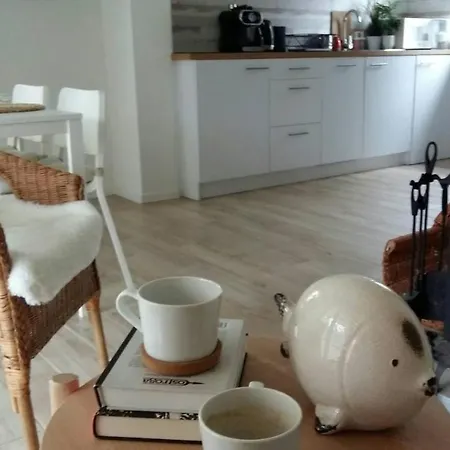 Dom wakacyjny Marina - Komfortowe Z Sauną I Kominkami Sasino