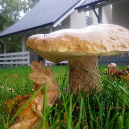 Marina - Komfortowe Z Sauna I Kominkami Hébergement de vacances