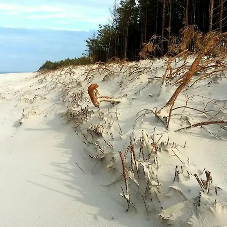 Marina - Komfortowe Z Sauną I Kominkami * Sasino