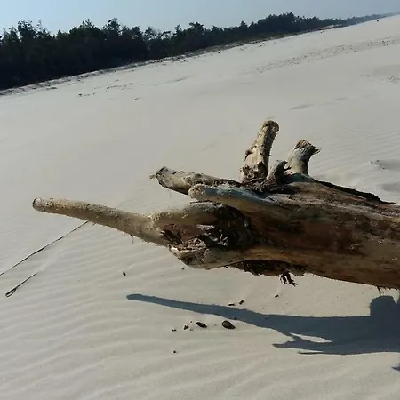 Marina - Komfortowe Z Sauna I Kominkami * Sasino