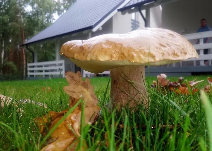 Marina - Komfortowe Z Sauna I Kominkami Дом отдыха