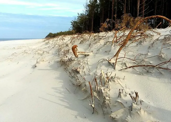 Marina - Komfortowe Z Sauna I Kominkami * Сашино