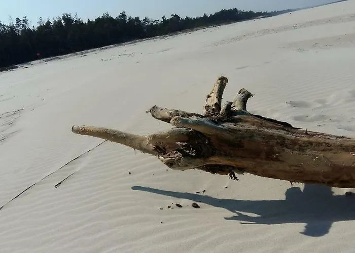 Marina - Komfortowe Z Sauna I Kominkami * Сашино